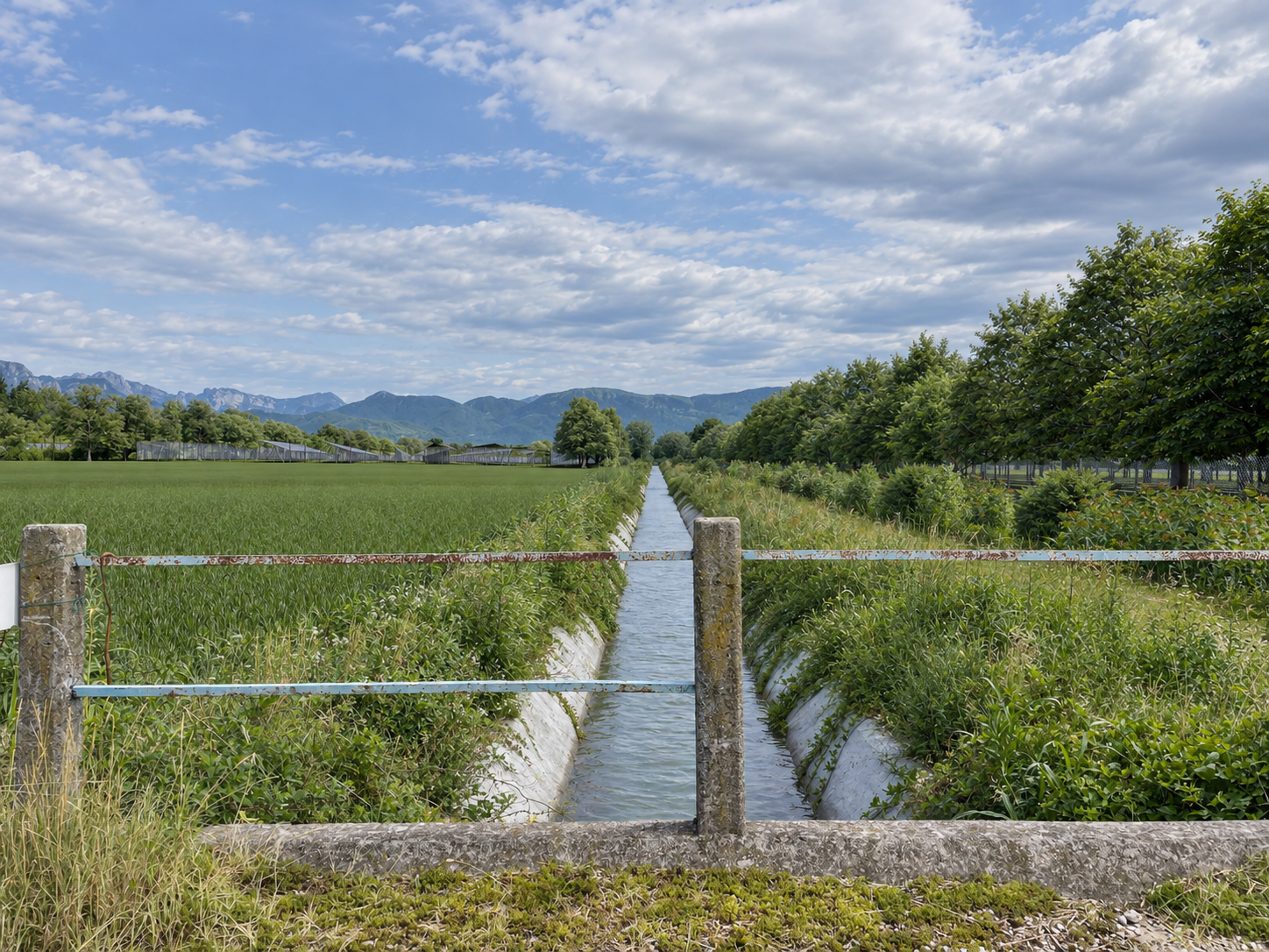 Rielaborazione di un fotoinserimento del progetto agrivoltaico di Maniago con canale irriguo, campi, mitigazione verde e moduli fotovoltaici