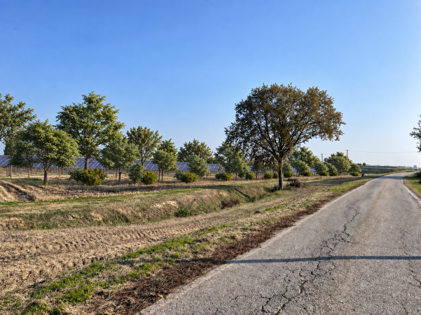 Rielaborazione di un progetto agrivoltaico con moduli fotovoltaici visibili, filari di mitigazione, grande albero esistente, fossi e strada rurale